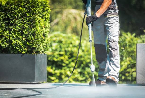 Best Solar Panel Cleaning  in Williamsport, MD