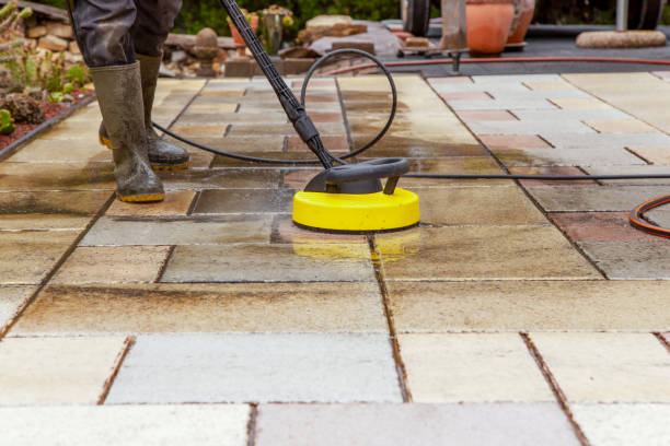 Best Dumpster Area Cleaning  in Williamsport, MD